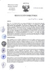 Vista preliminar de documento RD-34-2024-DG-INCN