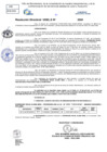 Vista preliminar de documento Resolucion Directoral N° 004100-2024