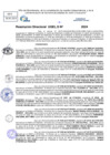 Vista preliminar de documento Resolucion Directoral N° 004102-2024
