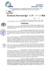 Vista preliminar de documento Resolucion Directoral N° 004103-2024