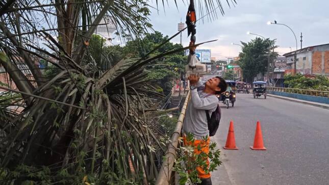 Limpieza de áreas verdes y poda de árboles en la Avenida Participación y calle Zaragoza