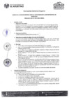 Vista preliminar de documento BASES