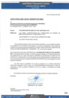 Vista preliminar de documento VALORIZACION N°01 DEL ADICIONAL N°01
