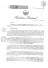 Vista preliminar de documento RD 141 DG 2024