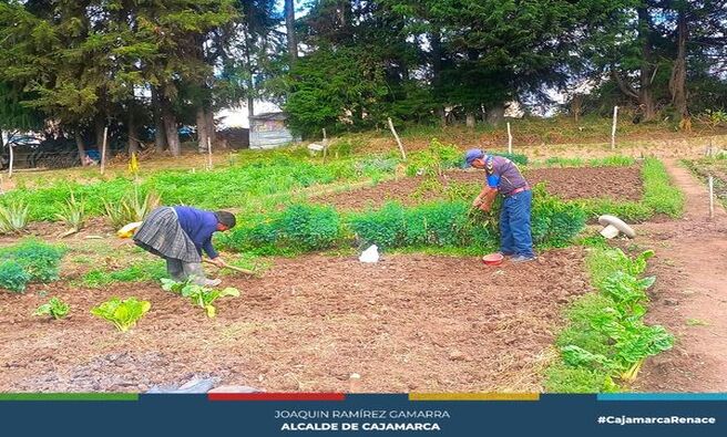 📌El coordinador del Centro Integral de Atención al Adulto Mayor (CIAM), gestionó 2 toneladas de abono orgánico en colaboración con la subgerencia de Gestión Ambiental.
✅Este abono ayudará al crecimiento de las plantas y contribuirá a mejorar o mantener las propiedades del suelo, beneficiando a nuestros adultos mayores que llevan estos productos a diferentes mercados de la ciudad.