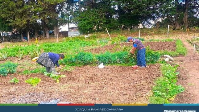 📌El coordinador del Centro Integral de Atención al Adulto Mayor (CIAM), gestionó 2 toneladas de abono orgánico en colaboración con la subgerencia de Gestión Ambiental.
✅Este abono ayudará al crecimiento de las plantas y contribuirá a mejorar o mantener las propiedades del suelo, beneficiando a nuestros adultos mayores que llevan estos productos a diferentes mercados de la ciudad.
