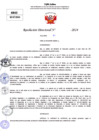 Vista preliminar de documento Resolucion Directoral N° 004113-2024