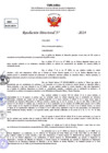 Vista preliminar de documento Resolucion Directoral N° 004114-2024