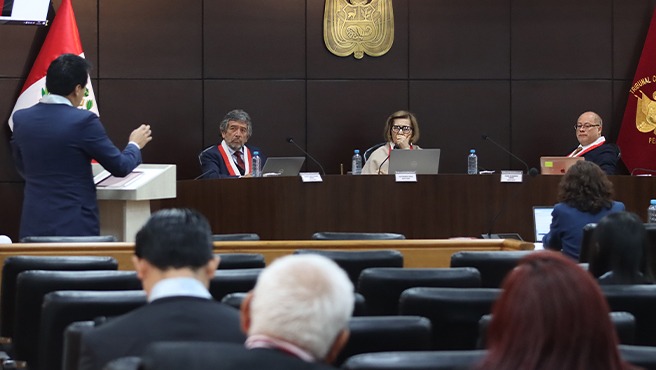 La Sala Primera del Tribunal Constitucional dejó al voto 70 causas vistas en audiencia pública