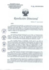 Vista preliminar de documento RD N° 168 2024 DG HEJCU