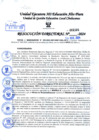 Vista preliminar de documento RD 001104-2024 