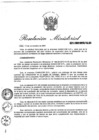 Vista preliminar de documento Resolución Ministerial N° 521-2001-MTC/15.03