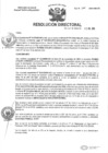 Vista preliminar de documento R.D N° 210-2024-HMA-DG