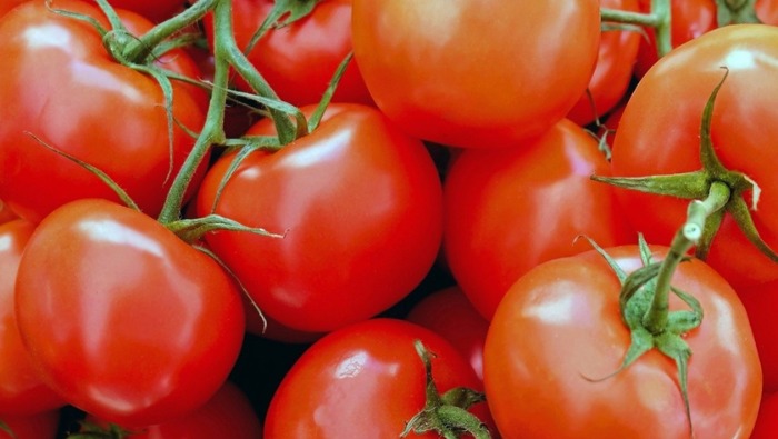oferta de tomate