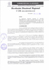 Vista preliminar de documento RDR 238-2024