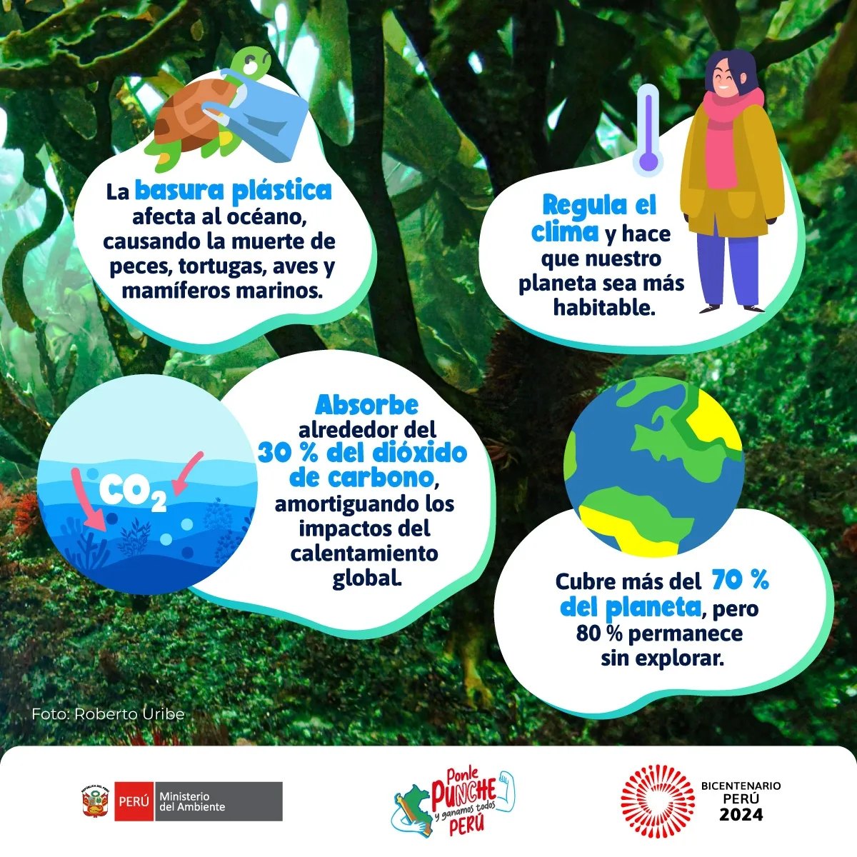 En el Día Mundial del Océano, recordemos cuán esenciales son para la vida en la tierra.
Además, cubre más del 70% de nuestro planeta y es una de las principales fuentes de vida y biodiversidad.