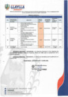 Vista preliminar de documento RA-127-2024
