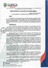 Vista preliminar de documento RA-133-2024