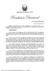 Vista preliminar de documento Resolución Directoral No. 217-2024-MINEM-DGH