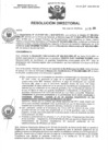 Vista preliminar de documento R.D N° 207-2024-HMA-DG