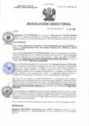 Vista preliminar de documento R.D N° 204-2024-HMA-DG