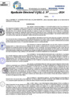 Vista preliminar de documento Resolucion Directoral N° 004117-2024