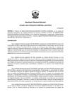 Vista preliminar de documento RDE 21-2024-LINEAMIENTOS