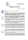 Vista preliminar de documento RD Nº 155-2024-DGINSM-HD-HN