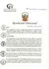 Vista preliminar de documento RD N°208-06-2024-DE-HCLLH-MINSA