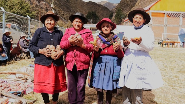 festival papas nativas