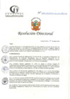 Vista preliminar de documento RD N°209-06-2024-DE-HCLLH-MINSA