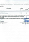 Vista preliminar de documento Anexo N° 6 - Aprobación de Modificaciones al Cuadro Multianual de Necesidades N° 00000319