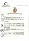 Vista preliminar de documento RD N°220-06-2024-DE-HCLLH-MINSA
