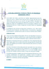 Vista preliminar de documento Acta de Segunda Consulta Publica en Seguridad Ciudadana-Chilca