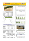 Vista preliminar de documento Boletín de abastecimiento y precio del ARROZ - 05/07/2024