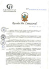 Vista preliminar de documento RD N°231-07-2024-DE-HCLLH-MINSA