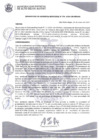Vista preliminar de documento RGM_176-2024