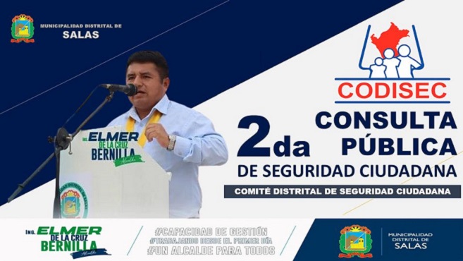 Segunda Consulta Pública de Seguridad Ciudadana 2024