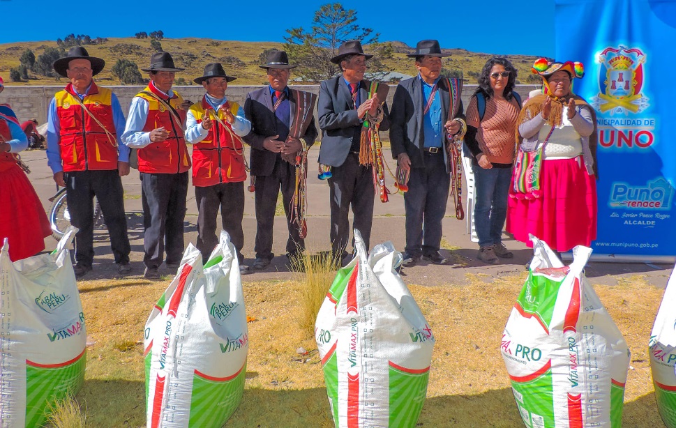 Municipalidad de Puno impulsa el sector ganadero con gran remate y exhibición de ganado vacuno, ovino y porcino en el centro poblado de Hila