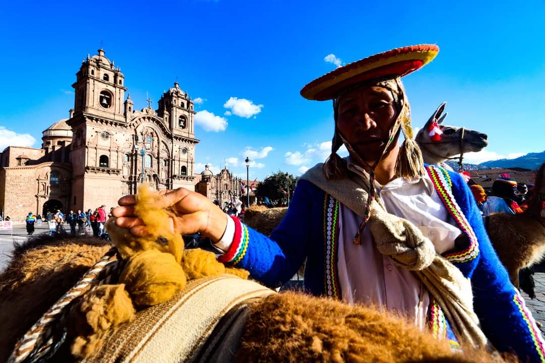 En el marco del Año Internacional de los Camélidos, cusqueños celebrarán gran fiesta nacional que durará 4 días ante LA presencia de miles de peruanos y turistas.