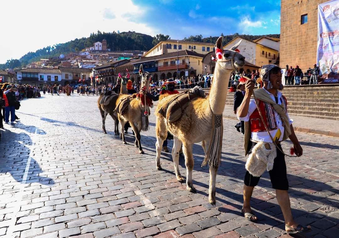 En el marco del Año Internacional de los Camélidos, cusqueños celebrarán gran fiesta nacional que durará 4 días ante LA presencia de miles de peruanos y turistas.