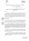 Vista preliminar de documento  RESOLUCION GERENCIAL REGIONAL DE DESARROLLO ECONOMICO  046