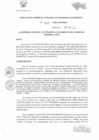 Vista preliminar de documento  RESOLUCION GERENCIAL REGIONAL DE DESARROLLO ECONOMICO  047