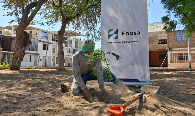 Siembra de plantas ornamentales en Micalea Bastidas y Urb. Los Fiscus I etapa