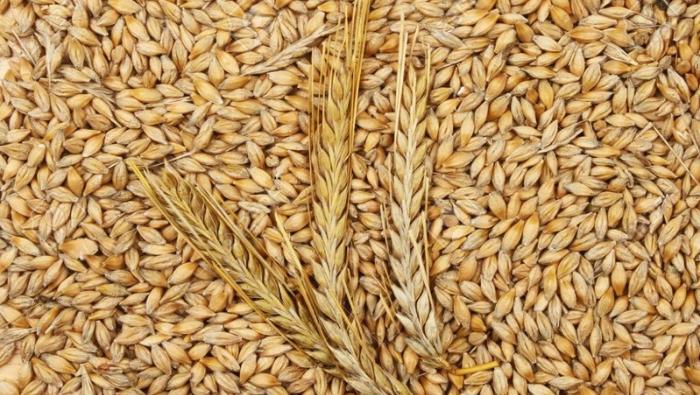 Gobierno: Agro sigue en alza y creció 5.4% entre enero-mayo por impulso de la producción de cebada y quinua