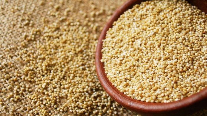 Gobierno: Agro sigue en alza y creció 5.4% entre enero-mayo por impulso de la producción de cebada y quinua