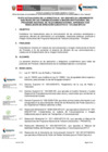Vista preliminar de documento RDE_100-2024-MTC_24 [F]_Anexo