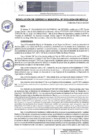 Vista preliminar de documento RGM 133 2024