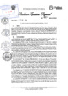 Vista preliminar de documento RESOLUCION EJECUTIVA REGIONAL N°049-2024
