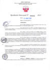 Vista preliminar de documento RD Nº000869 04-03-202307092023090915
